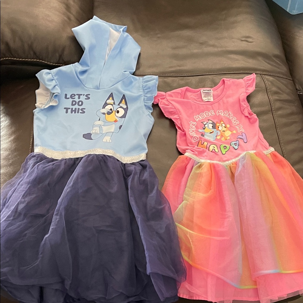 Bluey and Bingo Kids Dresses 6 and 8 Sister - Blue, Pink, and Rainbow